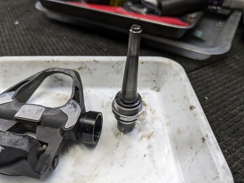 PXL_20240526_231201890