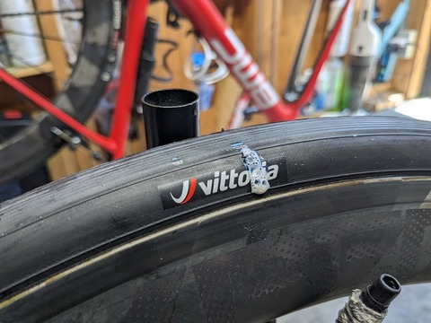 PXL_20230728_020544537