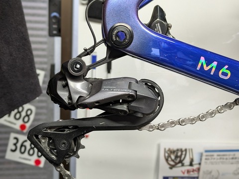 PXL_20260210_065308551.PORTRAIT