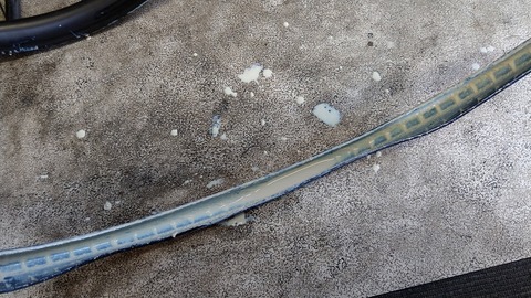 IMAG0811