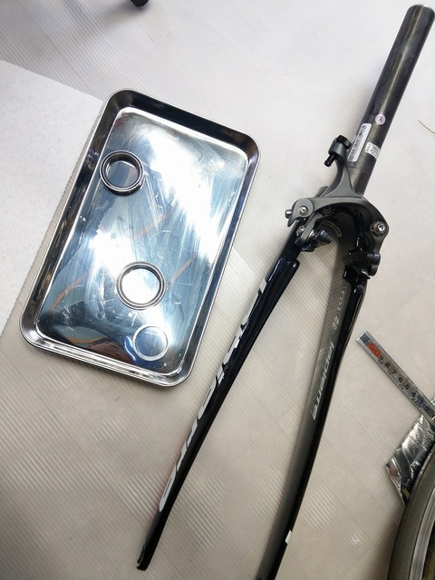 IMAG0248