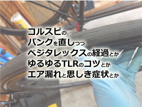 rect5988