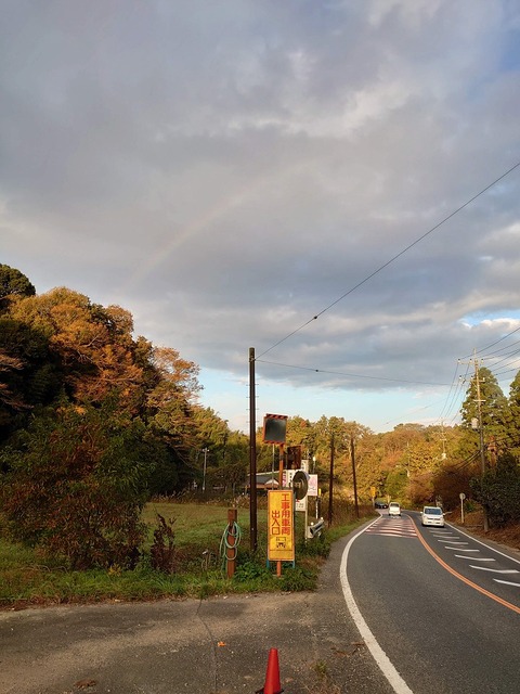 DSC_1018