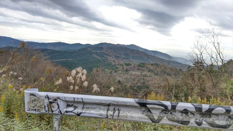 IMAG0667_R