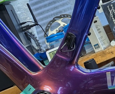 PXL_20260129_060806203-EDIT