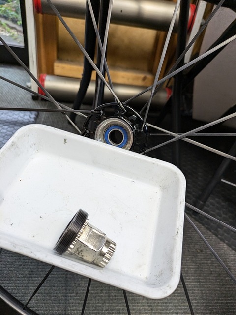 PXL_20241005_052602756