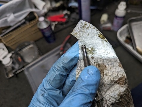 PXL_20240507_063631091