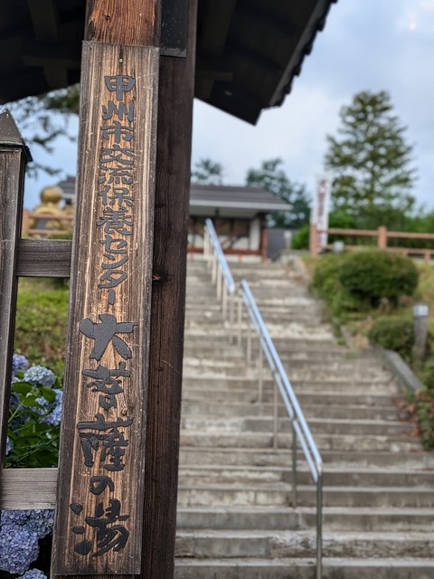 PXL_20240721_095255639.PORTRAIT