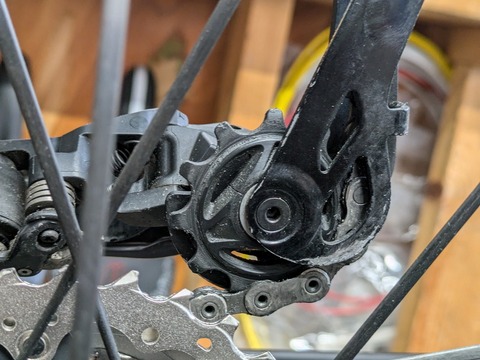 PXL_20241029_000958334