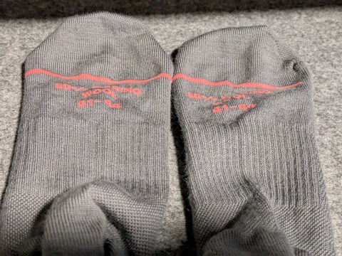 PXL_20241129_073319771