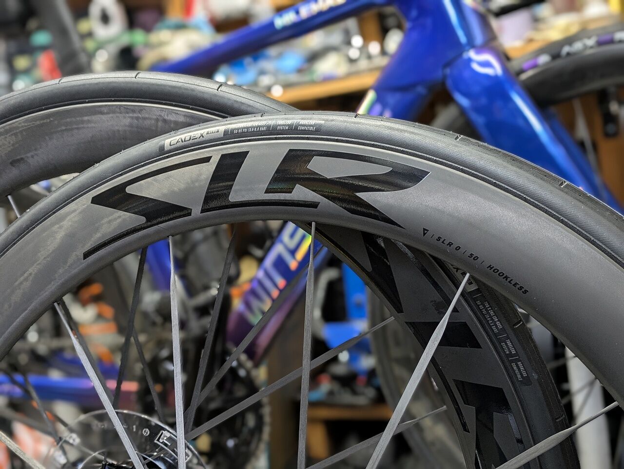 委託販売】GIANT 新型 SLR 50 ホイール｜未使用・タイヤ付 : えふえふ