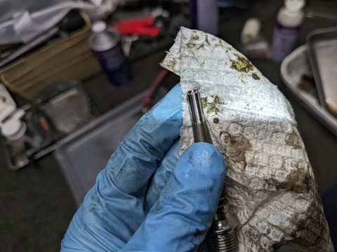 PXL_20240507_063634344