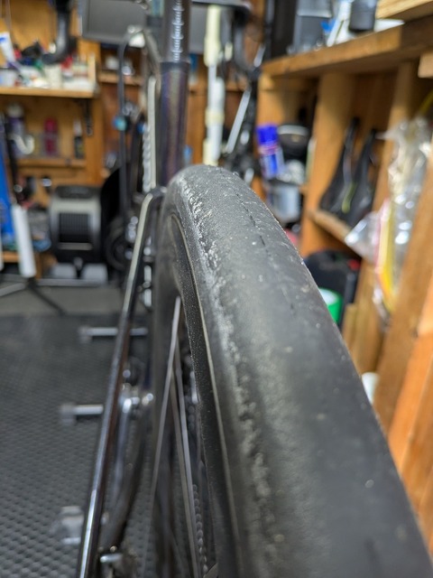 PXL_20250919_033130071 (1)