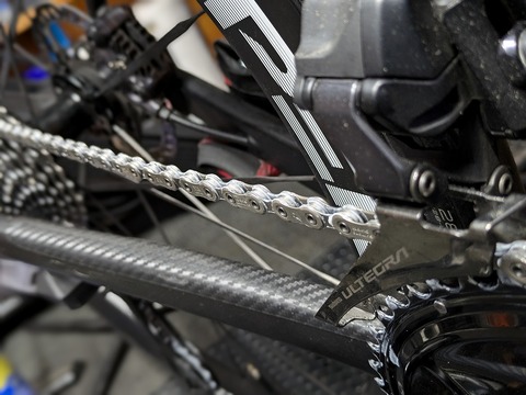 PXL_20241026_072809344.PORTRAIT