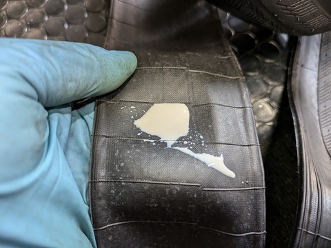 PXL_20240808_062345358