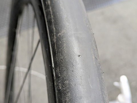 PXL_20251213_054240085 (1)