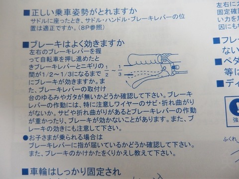 P5165224