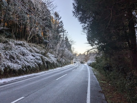 PXL_20240113_221437964