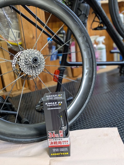 PXL_20250512_060612375.PORTRAIT