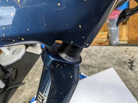 PXL_20231211_043709612