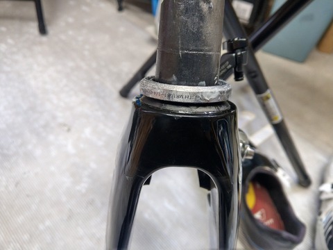 IMAG1252