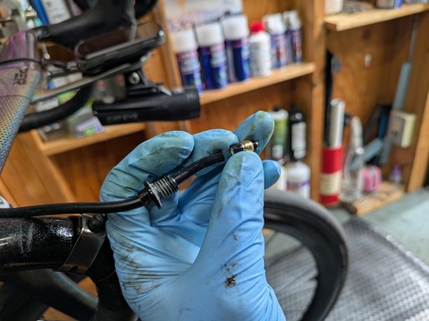 PXL_20250816_005820539