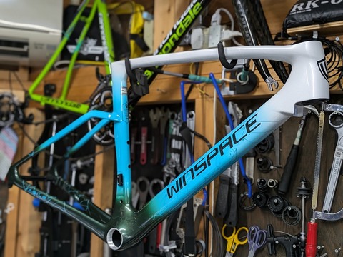 PXL_20240802_005516295.PORTRAIT