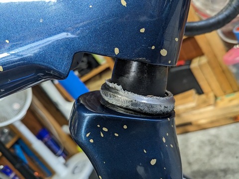 PXL_20231211_043734121