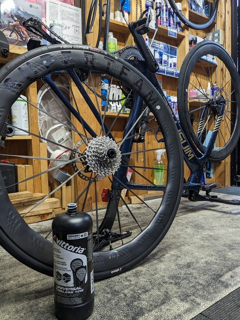 PXL_20231009_072914208