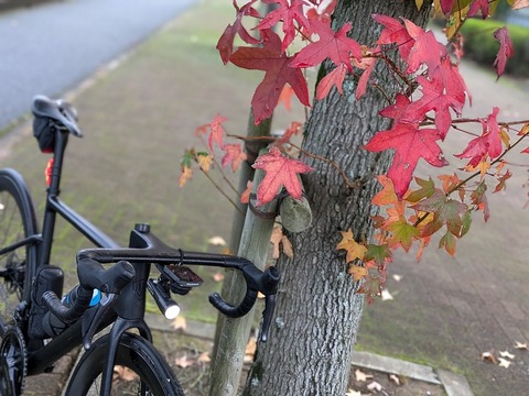 PXL_20241109_214415621.PORTRAIT