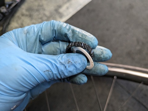 PXL_20240612_071520857