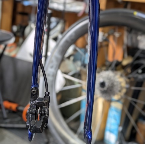 PXL_20260206_022149954.PORTRAIT