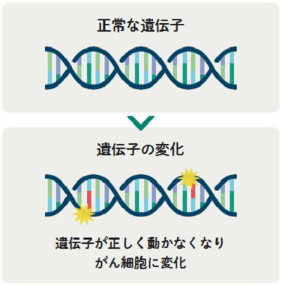 20240315がん細胞の発生