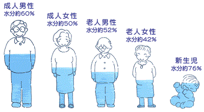 20240322体内の水分量