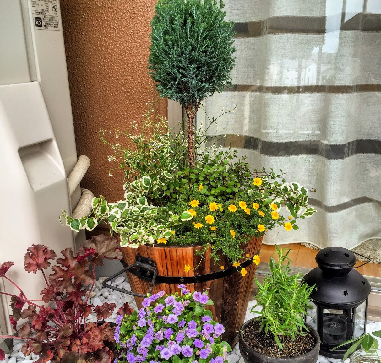 ジョリーパスタの寄せ植えを参考にしたらイケてる寄せ植えができた 4green七転び八起きベランダガーデニング記録