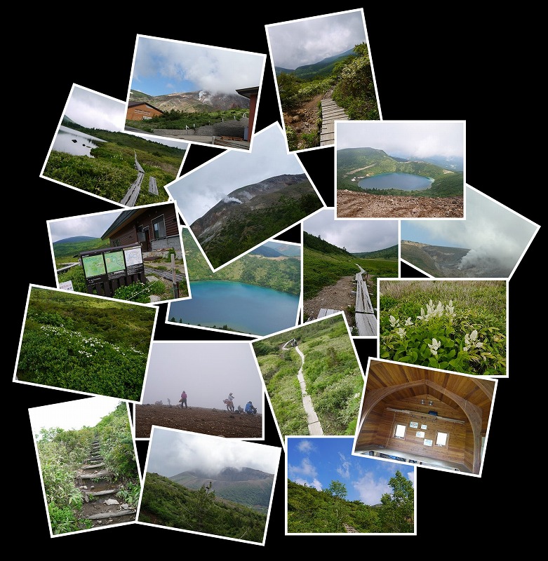 Image1