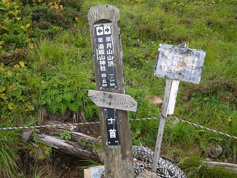 36