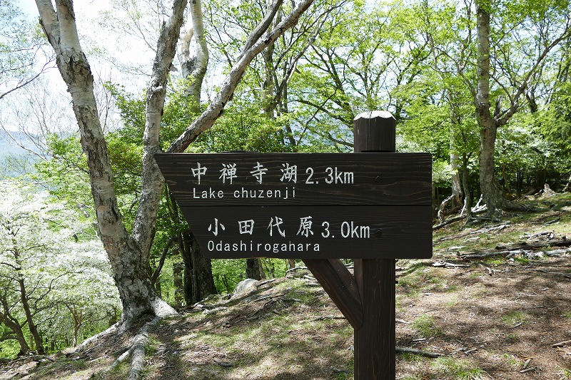 44