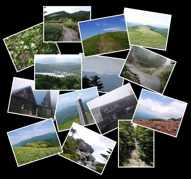 Image1