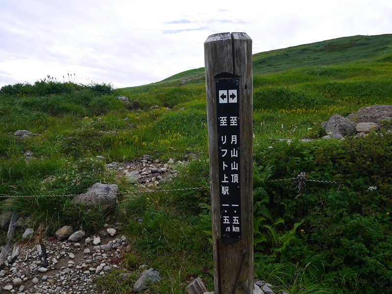 64