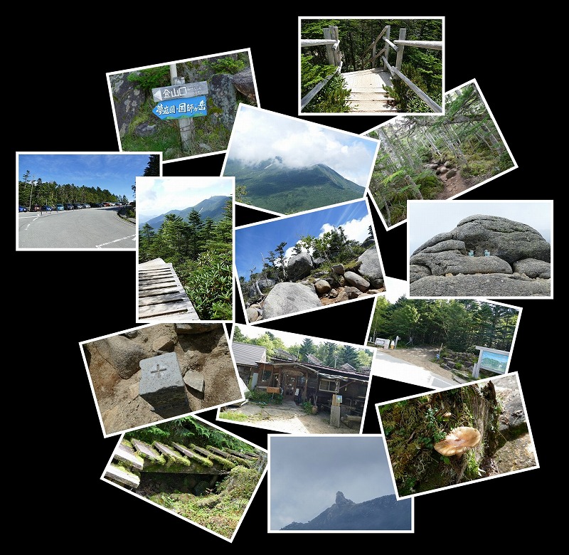 Image1