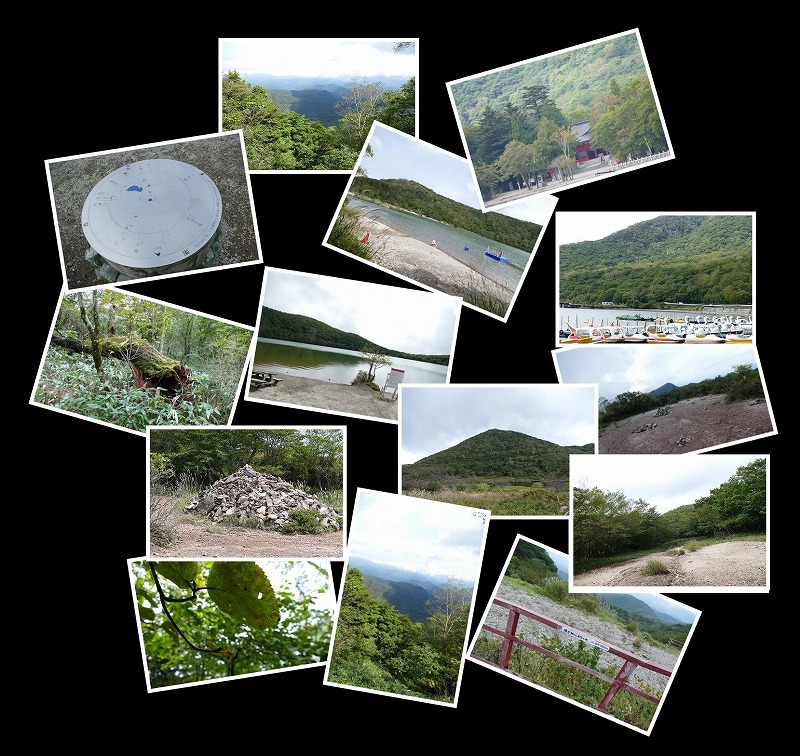 Image1