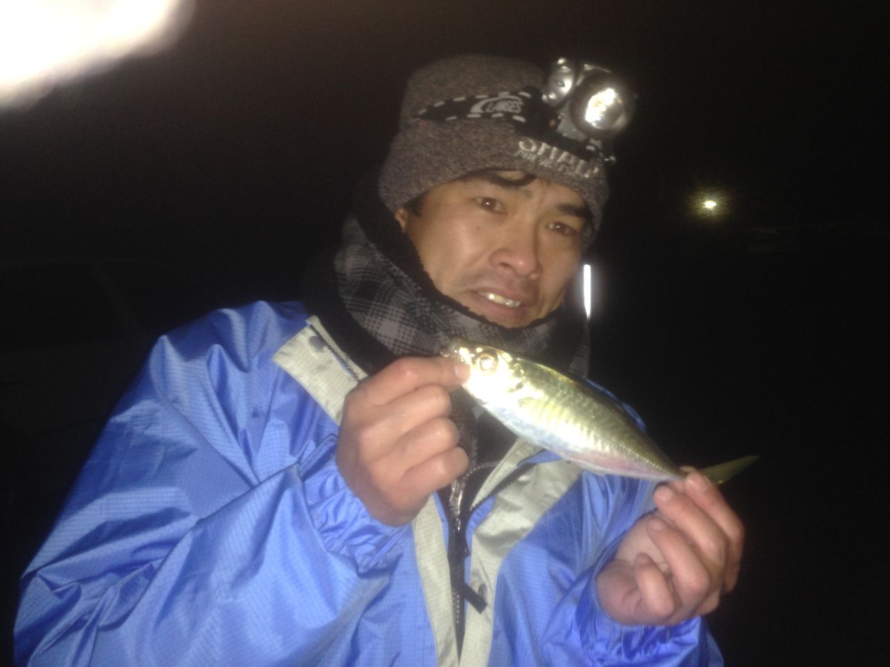 勝浦港でアジ ヒラメ Wood Village Fishing キムとゆかいな仲間達