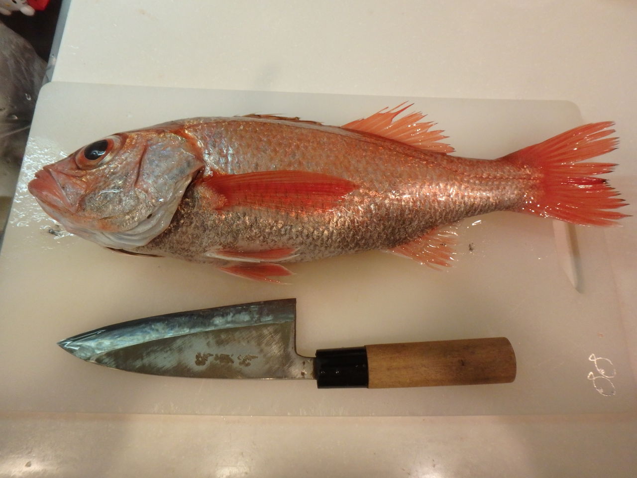 赤ムツ 黒ムツ 金目鯛の料理 Wood Village Fishing キムとゆかいな仲間達