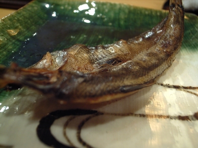 081128򿤤�Ȥ��ܸ��Ƥ�