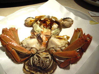 081010������Ź������