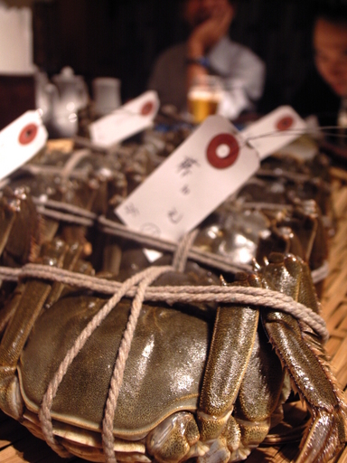 081010������Ź��̾��