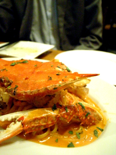 080417�ʥӥꥪ�Ϥ곪�ѥ���