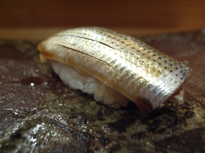 081128򿤤�Ȥ����Ϥ�