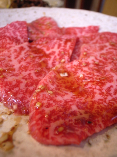 081026���ٱ�������